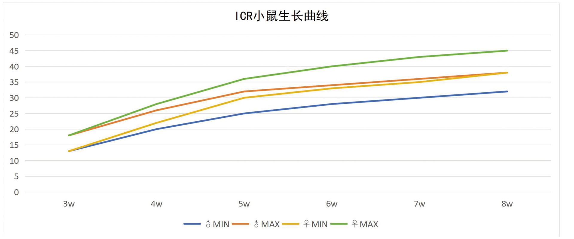 ICR小鼠.jpg