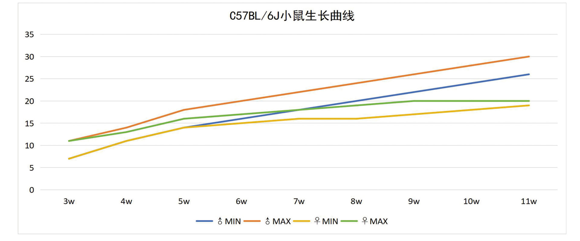 C57BL6J小鼠.jpg